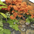 Tranquil Garden Design With Orange Maple Leaves Lush Green Plants Stone Features And Water Basins