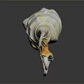 Colorful Marine Snail With Spiral Shell And Tentacle Like Projections In Ocean