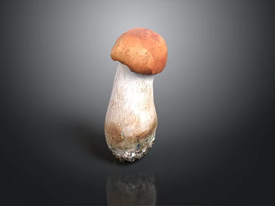 Fresh Wild Mushroom With Orange Red Cap And White Stem On Dark Background 3d model