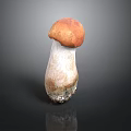 Fresh Wild Mushroom With Orange Red Cap And White Stem On Dark Background