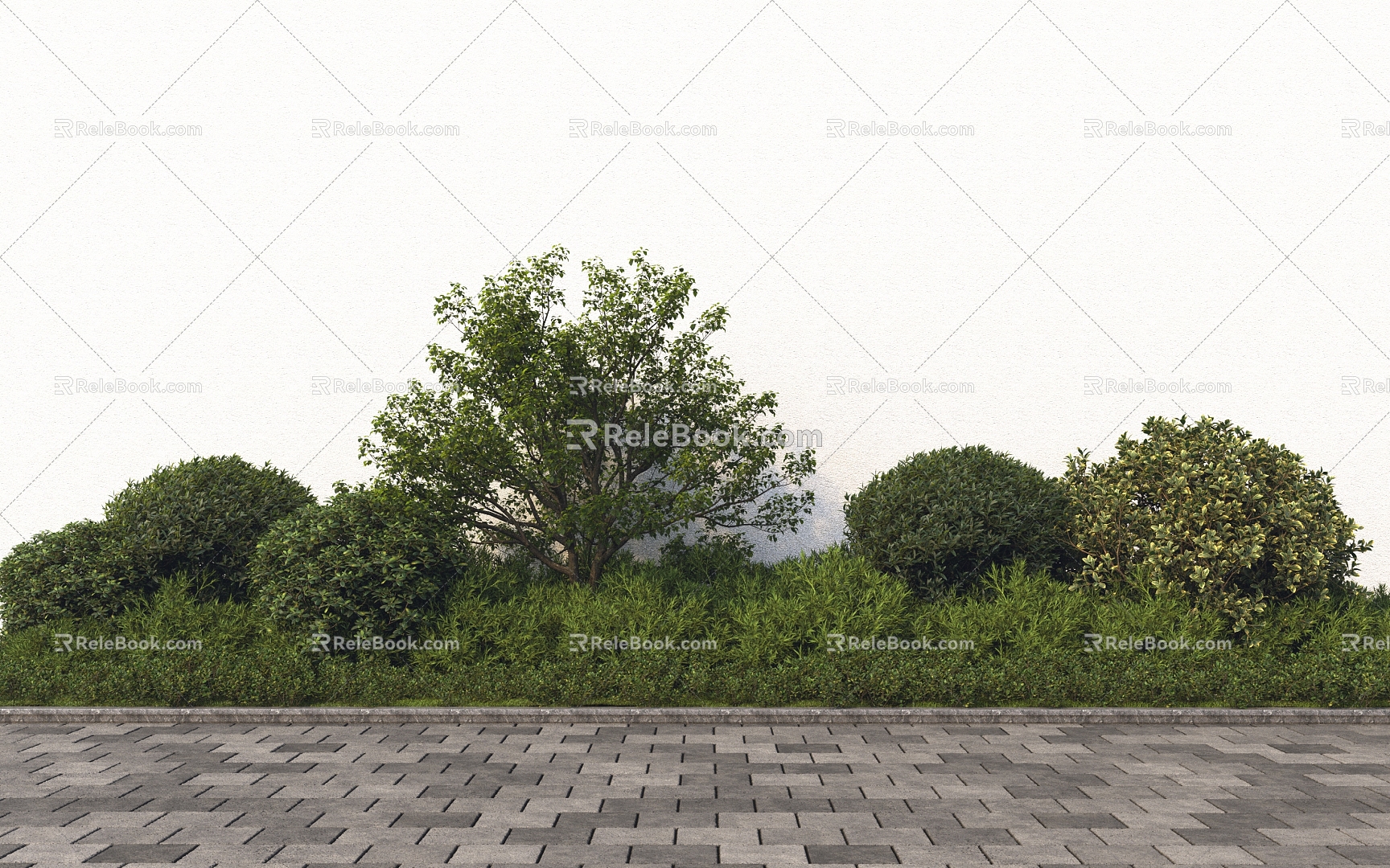 Modern Shrub Plants 3d model