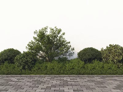 Well Trimmed Round Bushes With Green Grass Brick Pavement And Tree In Outdoor Garden 3d model