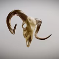 Decorative Ram Skull Taxidermy Mount For Wall Display And Home Decor