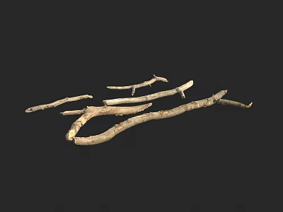 Traditional Tea Set With Natural Wooden Branches On Black Background 3d model