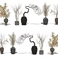 Various Ceramic Vases With Dried Branches Pampas Grass And Feathery Plants 3d model