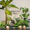Lush Tropical Plants and Ferns Arrangement with Stone Light Balls White Pebbles for Nature Peace