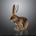 Orange Rabbit With Long Ears White Belly Paws Sitting On Black Glossy Surface Gray Background