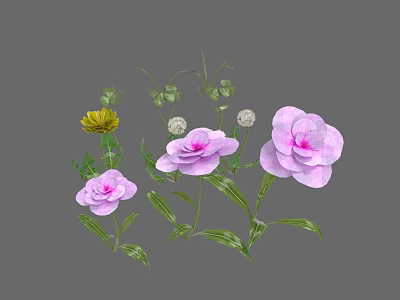Pink And Yellow Flowers With White Dandelion Like Blooms Green Leaves Stems On Gray Background 3d model