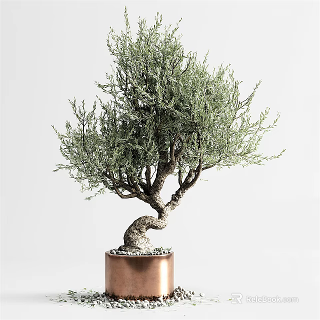 Artistic Bonsai Plant with Curved Trunk and Green Foliage in Copper Pot on White Background 3d model 