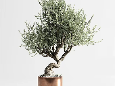 Artistic Bonsai Plant with Curved Trunk and Green Foliage in Copper Pot on White Background 3d model