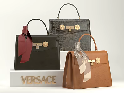 Luxury Versace Handbags Collection With Golden Buckles Leather Design And Various Colors 3d model