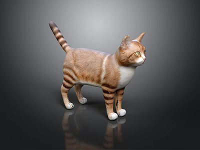 Cat Brown And White Striped Standing On Black Smooth Surface With Reflection 3d model