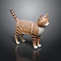Cat Brown And White Striped Standing On Black Smooth Surface With Reflection 3d model