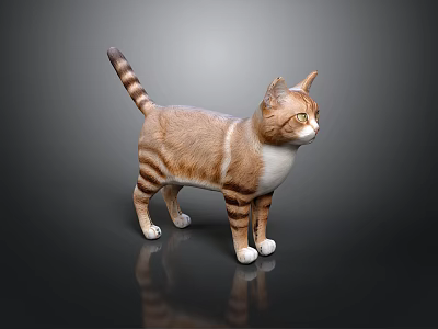 Cat Brown And White Striped Standing On Black Smooth Surface With Reflection 3d model