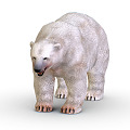 Modern polar bear cartoon polar bear 3d model