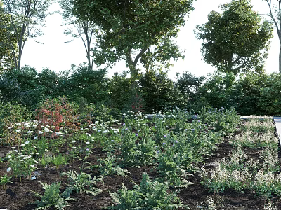 Scenic Rural Landscape With Lush Garden Green Plants White Flowers And Tall Trees 3d model