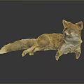 Red Fox Game and Movie Character Lying on Black Surface with Reflection 3d model