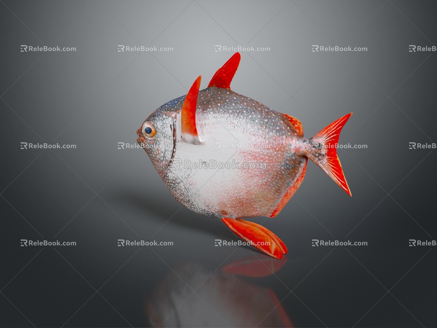 fish carnivorous fish piranha piranha freshwater fish sea fish animal game animal cartoon animal 3d model