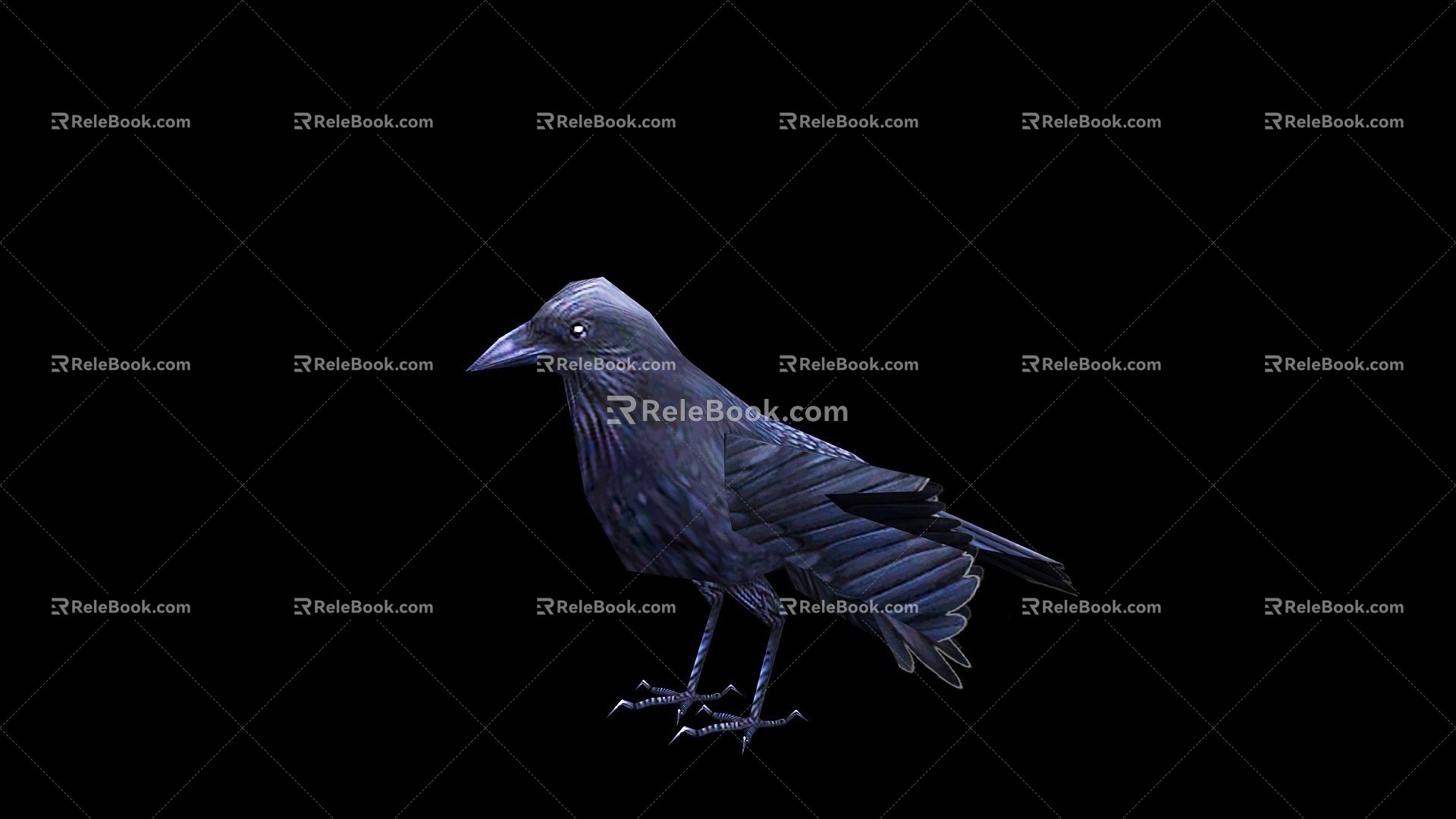 Black Bird Crow with Action 3d model