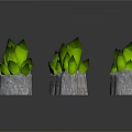 Green Leaf Plants In Gray Stone Bases Arranged For Natural Decorative Look
