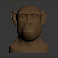 Bronze Colored Monkey Head Sculpture on Dark Background With Reflective Surface