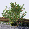 Garden Landscape Featuring Fruit Tree With Ripe Fruits Wooden Fence And Stone Path
