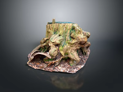 Natural Wooden Tree Stump Decor With Stone Base And Root Details 3d model