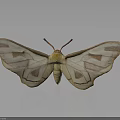 Detailed Beige Moth With Yellow Body And Brown Patterned Wings On Gray Background