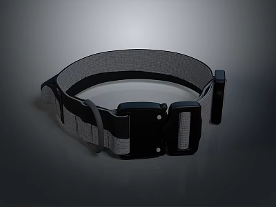 Adjustable Daily Life Belt With Durable Fabric Strap And Secure Plastic Buckle 3d model
