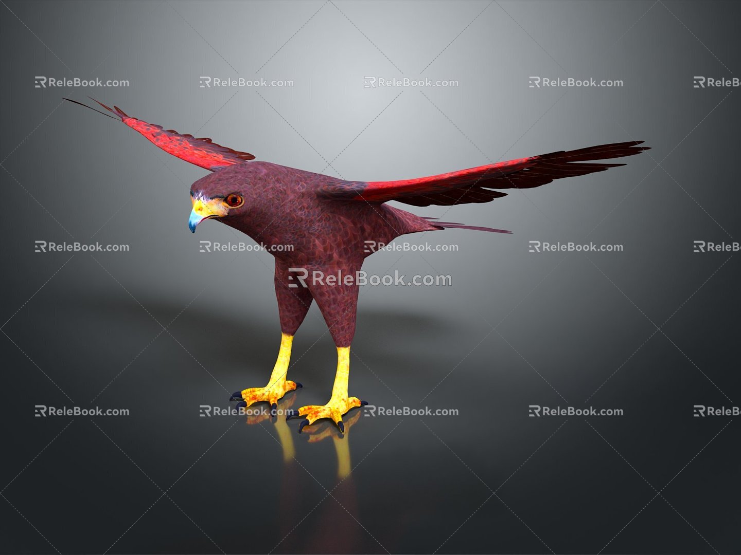 Modern Eagle Harris Eagle Chestnut Wing Eagle 3d model