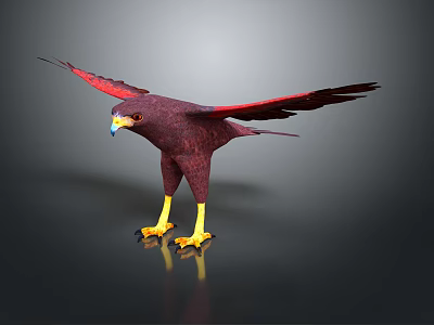 Crimson Eagle Standing With Spread Wings Yellow Talons And Sharp Beak Feature 3d model
