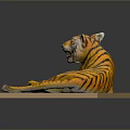 Yellow Black Striped Tiger Model Lying On Light Colored Platform With Gray Background