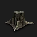 Natural Wooden Tree Stump With Rough Texture On Dark Background