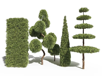 Topiary Trees With Various Trimmed Shapes And Lush Green Foliage For Garden 3d model