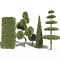 Topiary Trees With Various Trimmed Shapes And Lush Green Foliage For Garden