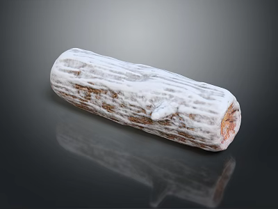Natural Wooden Log with White Coated Surface and Detailed Texture on Reflective Background 3d model