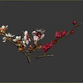 Colorful Plum Blossom Branches With Pink Red White Flowers And Buds