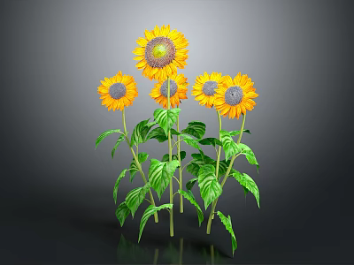 Bright Yellow Sunflowers With Green Stems And Leaves On Gray Background 3d model