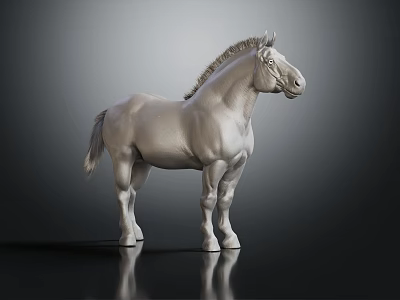 White Horse 3D Model Standing On Black Ground With Reflection And Gray Gradient Background 3d model