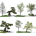 modern tree landscape tree arbor 3d model