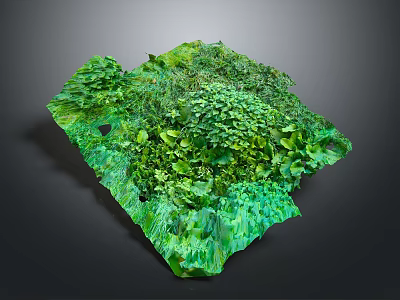 Detailed Realistic Green Terrain Model Showcasing Lush Vegetation And Undulating Landforms 3d model