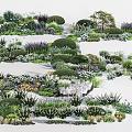 Various Garden Flowers And Bushes With Purple White Blooms And Green Plants