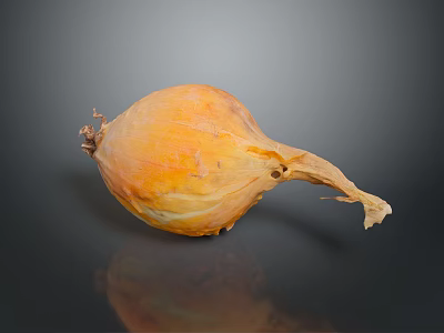 Orange Yellow Dried Skin Fruit with Root on Dark Background and Reflection 3d model
