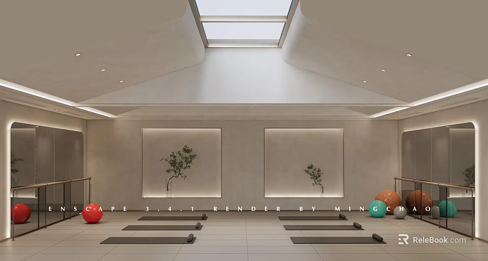Spacious Fitness Studio With Skylight Yoga Mats Exercise Balls And Plant Decor 3d model 