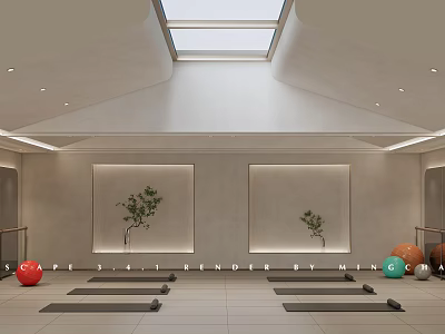Spacious Fitness Studio With Skylight Yoga Mats Exercise Balls And Plant Decor 3d model