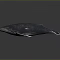 Realistic 3D Rendered Blue Whale Marine Animal With Detailed Fins Tail And Gray Gradient Background