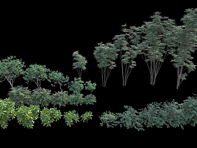 Different Varieties of Shrubs with Various Heights Leaf Shapes and Foliage 3d model