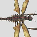 Fantasy Insect 3D Model Featuring Large Wings Green Eyes Red Brown Body And Long Legs