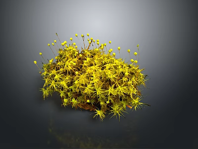 Tiny Freshwater Creatures Among Vibrant Yellow Aquatic Moss In Dark Background 3d model