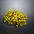 Tiny Freshwater Creatures Among Vibrant Yellow Aquatic Moss In Dark Background